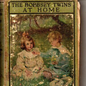The Bobbsey Twins At Home